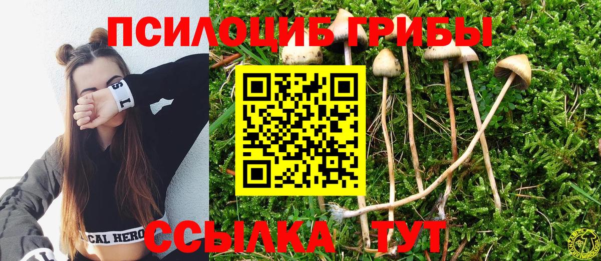 Галлюциногенные грибы мухоморы  Вход с VPN  Краснотурьинск 